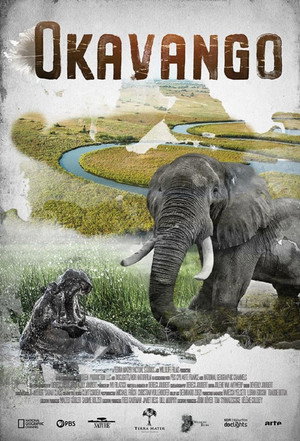Okavango: River of Dreams poszter