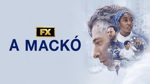 A mackó kép
