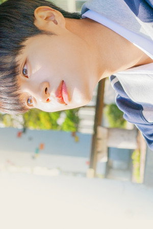 셔틀 poszter