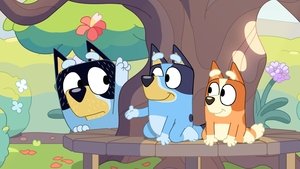 Bluey 3. évad Ep.6 Tegnap születtem