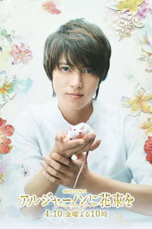 アルジャーノンに花束を 1. évad (2015-04-10) poszter