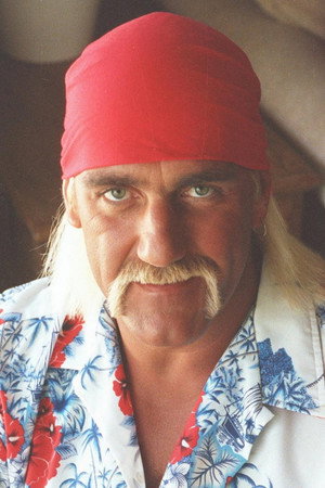 Hulk Hogan profil kép