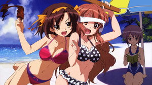 涼宮ハルヒの憂鬱 kép
