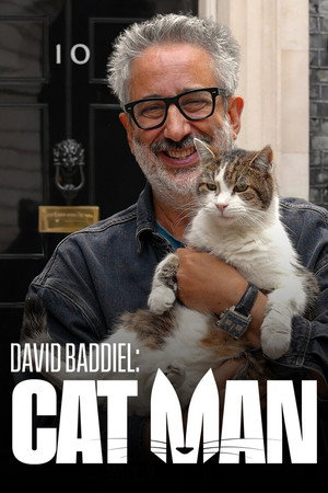 David Baddiel: Cat Man poszter