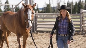 Heartland 7. évad Ep.1 1. epizód