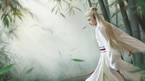 赴山海 kép
