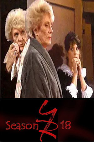 The Young and the Restless 18. évad (1990-03-26) poszter