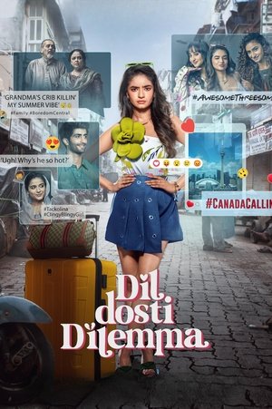 Dil Dosti Dilemma 1. évad (2024-04-25) poszter