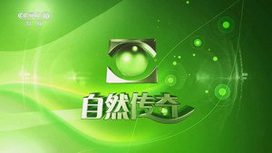 自然传奇 kép