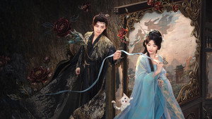入青云 kép
