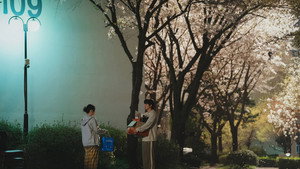 내가 죽기 일주일 전 kép