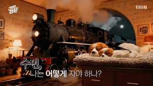 취미는 과학 1. évad Ep.57 57. epizód