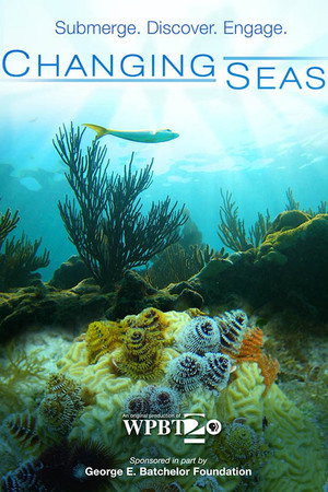 Changing Seas poszter