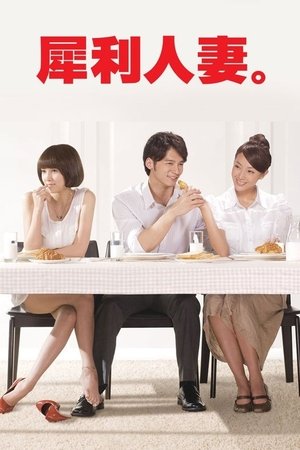 犀利人妻 1. évad (2010-11-05) poszter