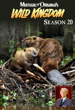 Mutual of Omaha's Wild Kingdom 20. évad (1981-09-13) poszter