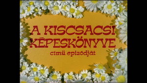 Mirr Murr a kandúr 1. évad Ep.9 A kiscsacsi képeskönyve