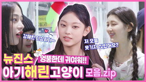뉴진스 코드 in 부산 Speciális epizódok Ep.10 10. epizód