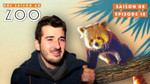 Une saison au zoo 8. évad Ep.18 18. epizód