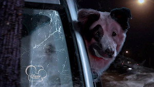 Dog with a Blog 1. évad Ep.2 2. epizód