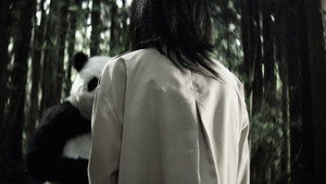 寻找会说话的貊貊 1. évad Ep.17 17. epizód