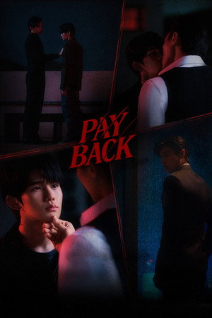 เพย์แบค เดอะซีรีส์ poszter