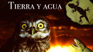 The Secret World of Nature: Spain kép