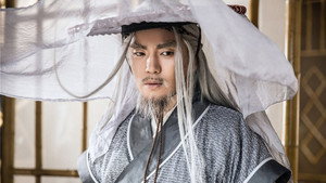 天泪传奇之凤凰无双 kép