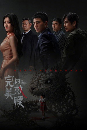 完美的救赎 poszter