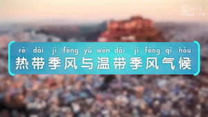 斑马百科 25. évad Ep.10 10. epizód