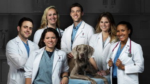 Life at Vet U kép