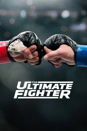 The Ultimate Fighter poszter
