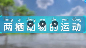 斑马百科 29. évad Ep.6 6. epizód