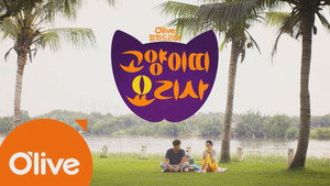 고양이띠 요리사 kép
