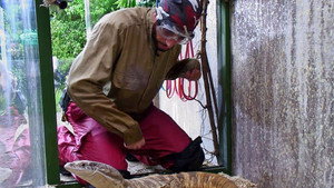 I'm a Celebrity...Get Me Out of Here! 15. évad Ep.10 10. epizód