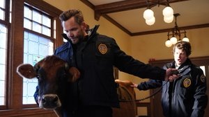 Animal Control 1. évad Ep.5 5. epizód