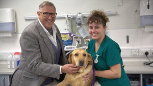 The Dog Hospital with Graeme Hall kép