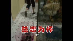 外来媳妇本地郎 2. évad Ep.308 308. epizód