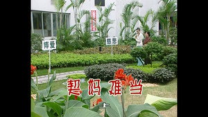 外来媳妇本地郎 2. évad Ep.533 533. epizód