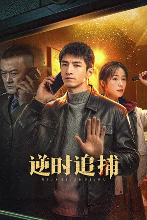 逆时追捕 poszter