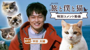 旅と僕と猫 kép