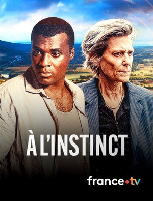 À l'instinct poszter
