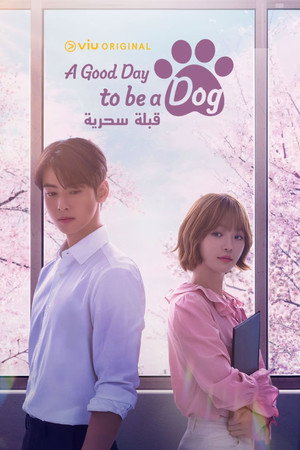 오늘도 사랑스럽개 poszter