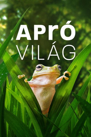 Apró világ poszter
