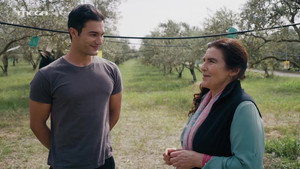 Η Γη Της Ελιάς 3. évad Ep.166 166. epizód