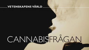 Vetenskapens värld 49. évad Ep.21 21. epizód