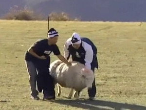 The Amazing Race Asia 4. évad Ep.7 7. epizód