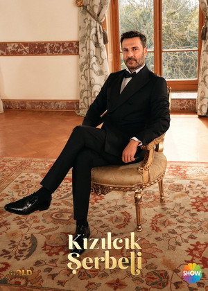 Kegyetlen szerelem poszter