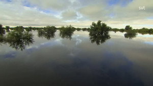 Amur: Asiens Amazonas 1. évad Ep.2 2. epizód