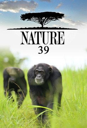 Nature 39. évad (2020-10-21) poszter