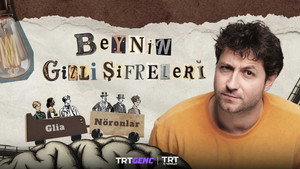 Beynin Gizli Şifreleri kép